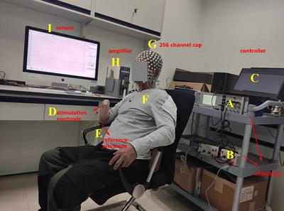 EEG Features of Evoked Tactile Sensation: Two Cases Study